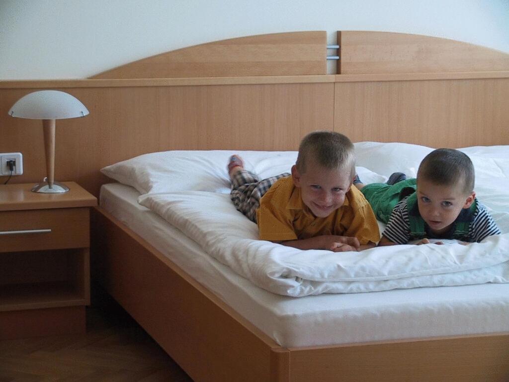 Pension Schlossblick Nebersdorf 部屋 写真